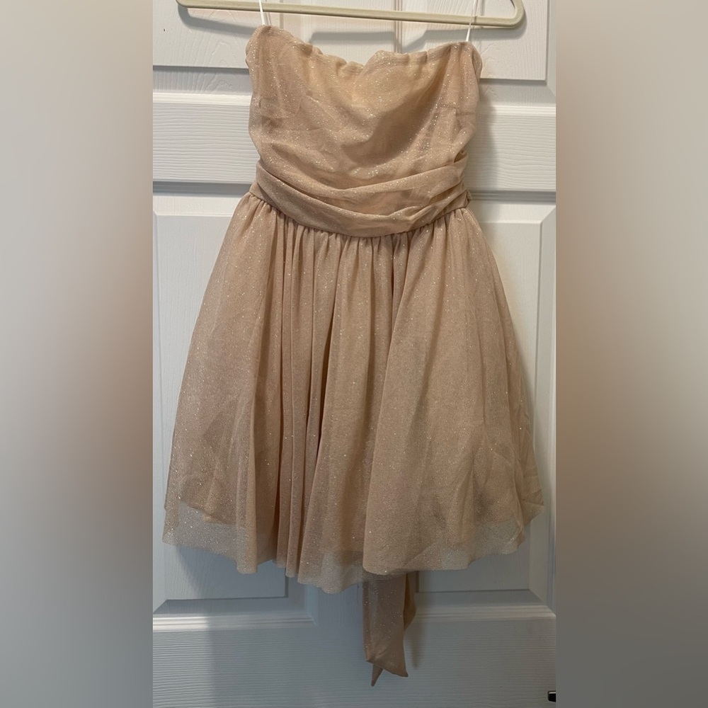 Windsor Shimmering Strapless Beige Dress